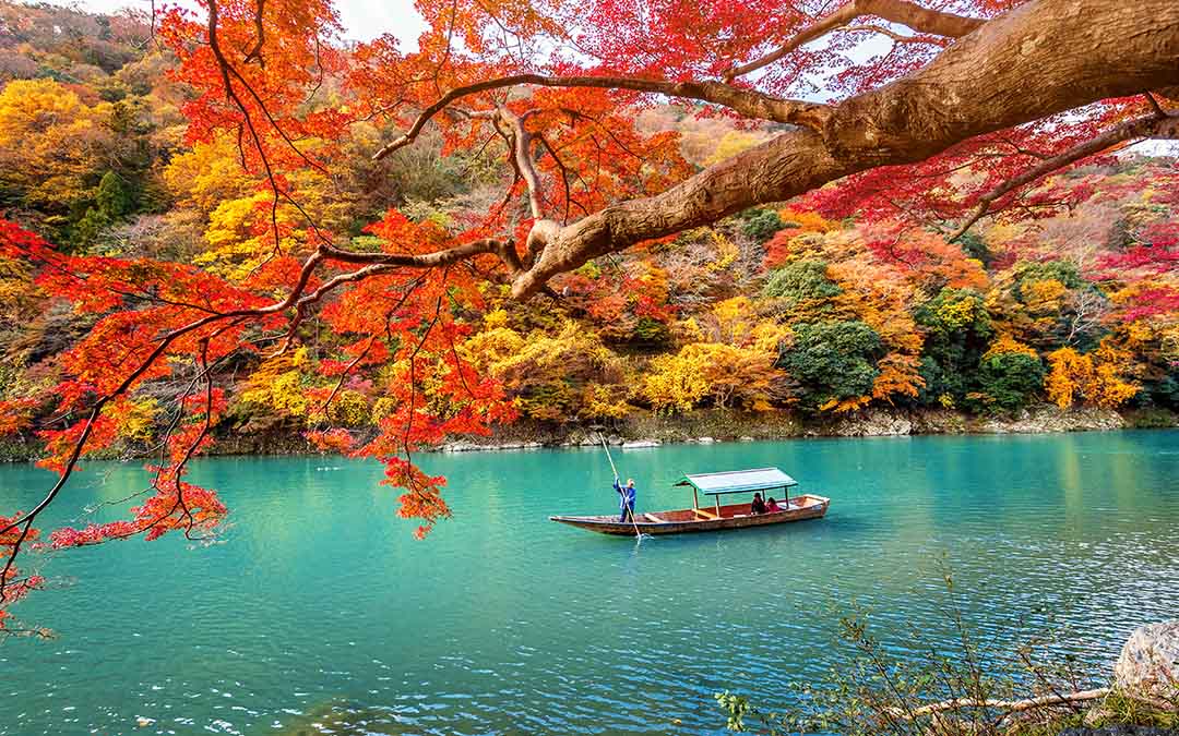 Relocating to Japan: An Essential Guide for Students and Young Professionals